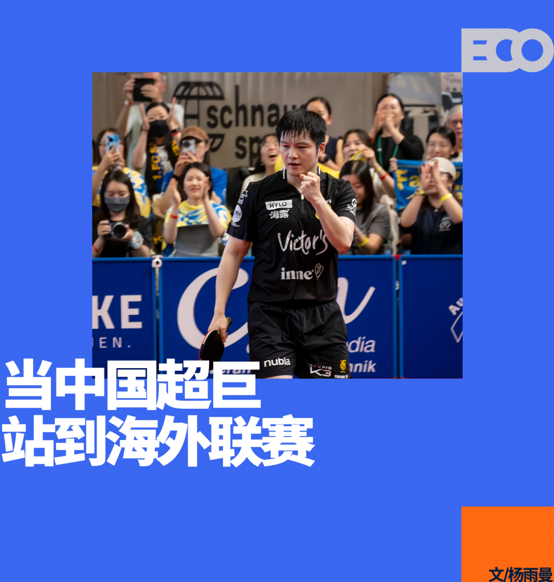 出海226天，樊振东为德国乒乓带来了什么？｜乒乓2025
